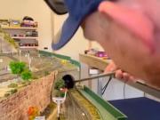 Jugaba con su tren a escala y encontró una serpiente venenosa escondida en la maqueta: Pensé que era de goma