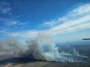 Tribunal Agroambiental ordena medidas urgentes ante incendios