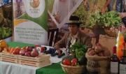 Gobierno registra crecimiento de exportaciones agropecuarias y anuncia que se exportará miel de abeja