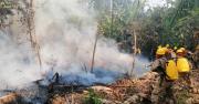 Suman 41 incendios sofocados y se refuerza el despliegue nacional contra emergencias forestales