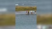 La marea sorprendió a un grupo de turistas en Las Grutas: el rescate que sirve como advertencia