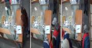 Entraron pidiendo comida a una panadería de La Plata y terminaron asaltando a la empleada