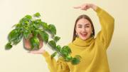 Asuntos de plantas: ¿qué ingredientes naturales puedo colocar en la tierra de mi potus?