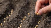 Derechos de obtentores y de productores