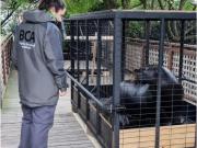 Polémica en Mar del Plata por presunto abandono de animales en el ex Aquarium: tras una inspección, trasladaron a cinco lobos marinos