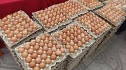 ADAT señala que la distribución de pollo y huevo está garantizado para los mercados de Tarija