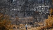 España combate sin tregua más de 20 incendios