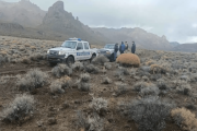 Un hombre cazó ciervos en su Pick Up y denunció abuso de autoridad: qué dijo la Policía de Río Negro