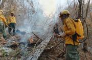Bolivia registra 1.850 focos de calor