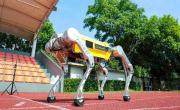 Un robot cuadrúpedo chino estableció el récord Guinness en 100 metros lisos: “En el camino correcto”