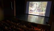 Retrospectiva del cine de Daniela Seggiaro en el marco del festival DOCBuenosAires