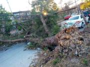 Viento, árboles caídos y cortes de luz: fuertes ráfagas sorprendieron a los salteños