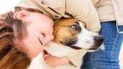 Por qué no es bueno abrazar a los perros, según los especialistas