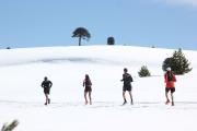 Una carrera entre araucarias y lagos: a ASICS K21 llega a Villa Pehuenia-Moquehue