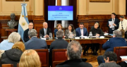 Emergencia pediátrica y financiamiento universitario: El peronismo quiere llegar rápido al debate en el Senado