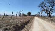 Viento Zonda en Salta: continúan los cortes de luz y trabajos de EDESA en distintos sectores