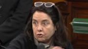 No creo que los niños argentinos tengan derecho a venir al Garrahan, dijo la senadora oficialista Carmen Álvarez Rivero