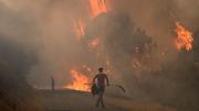 Catástrofe ambiental en España: más de 1100 muertos por la ola de calor y pueblos enteros arrasados por las llamas