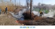 En el Médano apagan hasta dos incendios por día y esperan muchos más las próximas semanas