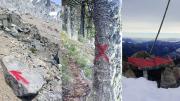 “Inaceptable”, bronca por pintadas en araucarias y piedras en un cerro de Villa Pehuenia