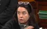Una senadora dijo que los niños argentinos no tienen derecho a venir al Garrahan a ser curados