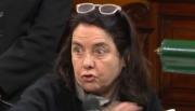 “No creo que los niños tengan derecho a ser curados en el Garrahan”: la frase que desató la polémica en el Senado