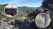 Indignación total en Neuquén: pintaron araucarias, rocas e instalaron ilegalmente una virgen en el cerro Impodi