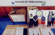 Detienen a presuntos miembros de una banda de rompevidrios en Tucumán