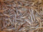 Camarones radiactivos: Walmart retira de las góndolas en Estados Unidos mariscos posiblemente contaminados