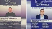 Así serán las boletas para las elecciones legislativas 2025 en la provincia en Buenos Aires: colores y fotos