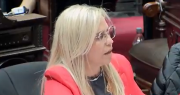 Enérgica defensa de Nancy Picón al rechazo del veto a la ley de emergencia en discapacidad: “Creemos en el Estado presente”