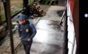 Delincuente robó golosinas y una desmalezadora de un Club de La Plata