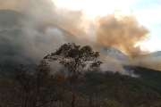 Gobierno declara emergencia nacional por incendios forestales e inicia canalización de recursos y ayuda internacional