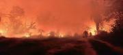 Bolivia: emergencia nacional por los incendios forestales