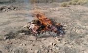 Cipolletti: incautaron carne de un matadero clandestino y multaron al dueño