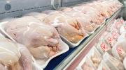 No habrá exportaciones de productos avícolas