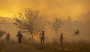 Fuego sin tregua: los peores incendios en décadas arrasan el norte y oeste de España
