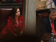 Por presión de los K, la oposición apuró una sesión en el Senado y este jueves buscará sancionar la Ley Garrahan y el financiamiento universitario