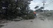Vientos fuertes afectarán a Santa Cruz: tome en cuenta estas recomendaciones