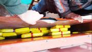 Cocaína rebajada con azúcar: condenaron a 9 años a un comerciante de Salvador Mazza