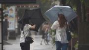 Hay alerta por fuertes vientos y pronostican heladas para el fin de semana
