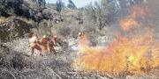El Gobierno declara emergencia nacional debido a los incendios forestales en el país