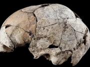 Encontraron un cráneo con una operación de oídos hecha hace 6.000 años