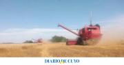 Con lo que pagó de retenciones podría haberse comprado otro campo: el cálculo de un productor que fue viral
