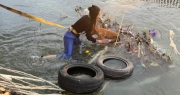 La valentía de un padre y su hija para salvar a una perrita que temblaba en medio de un canal