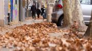 Viento Zonda en Mendoza: ¿seguirá hasta el viernes este fenómeno meteorológico?