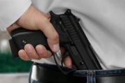 El gobierno quiere avanzar con la implementación de la libre portación de armas
