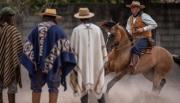 La Rural Salteña recibe a los mejores caballos criollos del NOA en la Exposición 2025