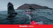Se estrena en Ushuaia el documental Antártida-Dominio 1, narrado por Ricardo Darín