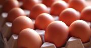 Ni frito ni revuelto: la forma correcta de preparar el huevo para aprovechar todas sus proteínas